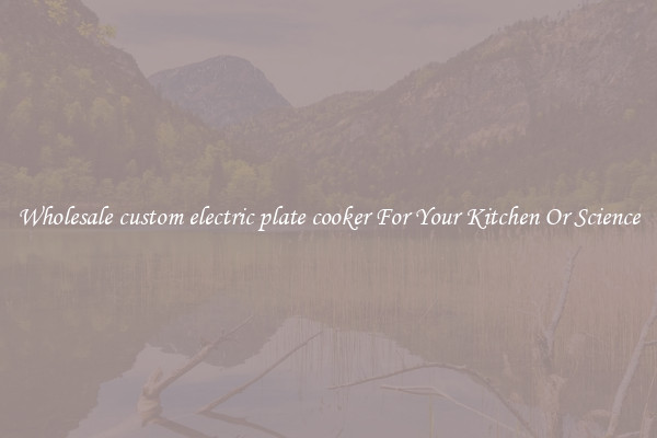 Wholesale custom electric plate cooker For Your Kitchen Or Science