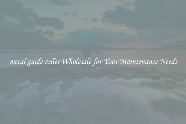 metal guide roller Wholesale for Your Maintenance Needs
