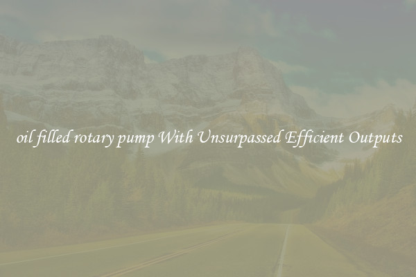 oil filled rotary pump With Unsurpassed Efficient Outputs
