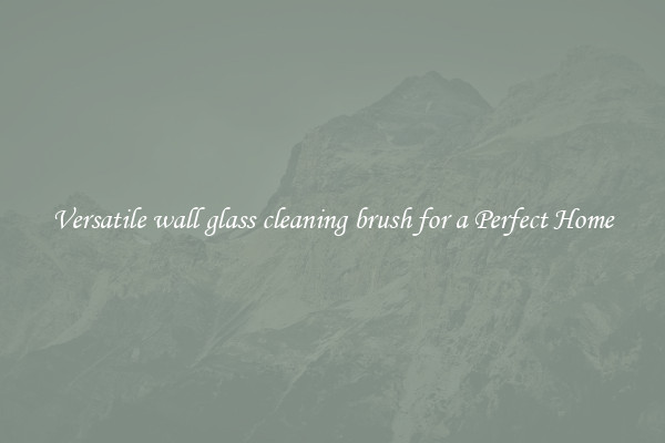 Versatile wall glass cleaning brush for a Perfect Home