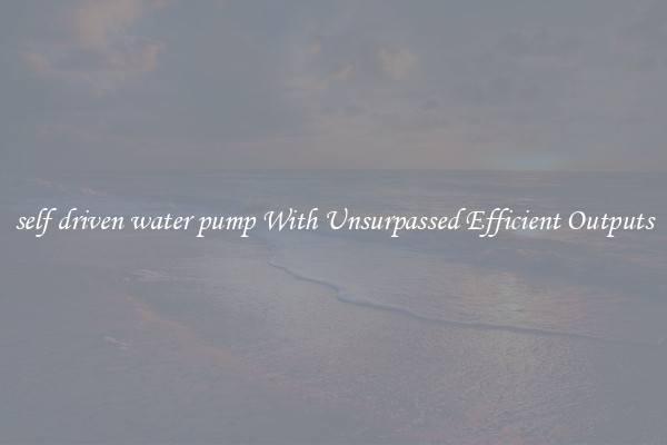 self driven water pump With Unsurpassed Efficient Outputs