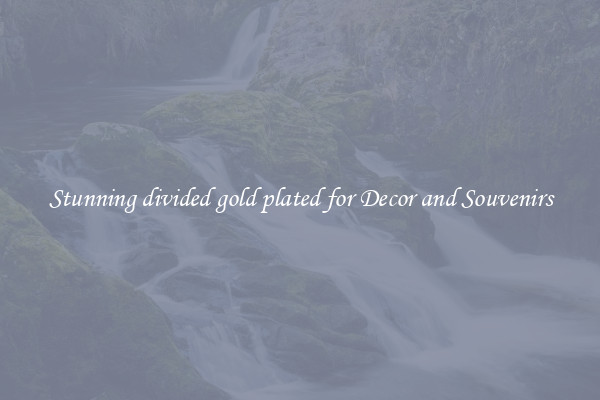 Stunning divided gold plated for Decor and Souvenirs
