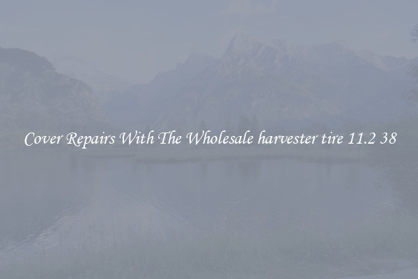  Cover Repairs With The Wholesale harvester tire 11.2 38 