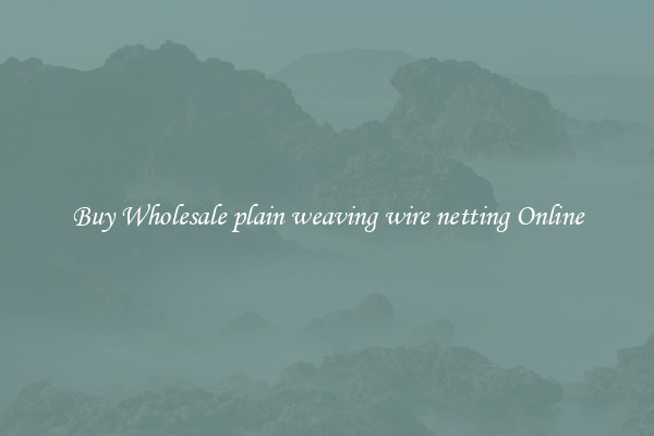 Buy Wholesale plain weaving wire netting Online
