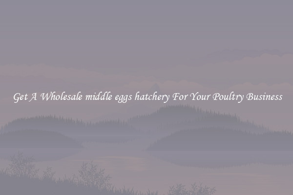 Get A Wholesale middle eggs hatchery For Your Poultry Business