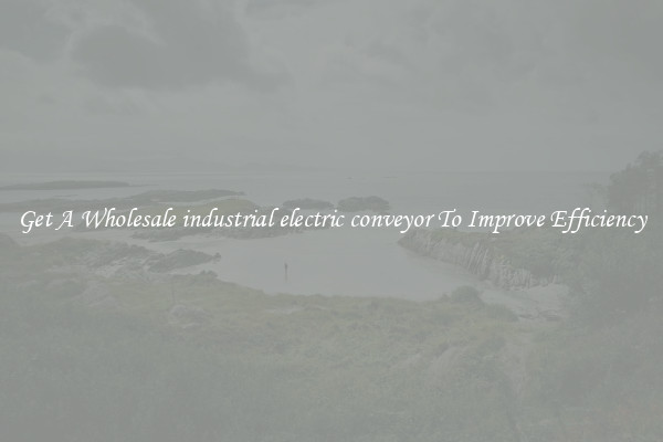 Get A Wholesale industrial electric conveyor To Improve Efficiency