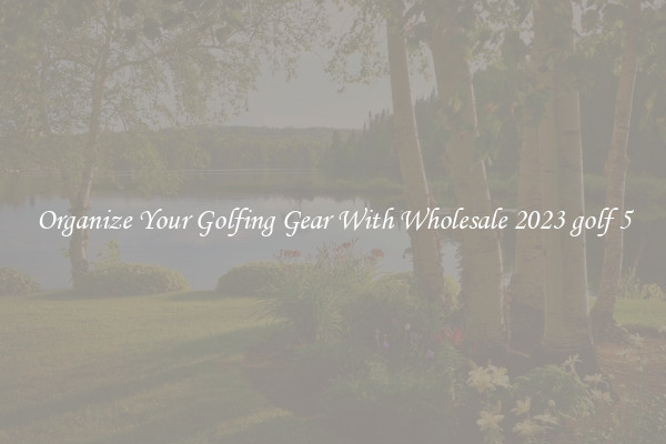 Organize Your Golfing Gear With Wholesale 2023 golf 5