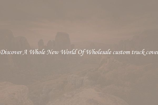 Discover A Whole New World Of Wholesale custom truck cover