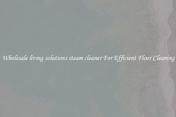 Wholesale living solutions steam cleaner For Efficient Floor Cleaning