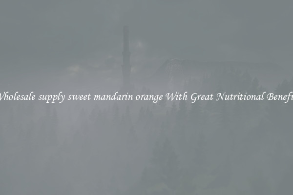 Wholesale supply sweet mandarin orange With Great Nutritional Benefits