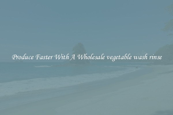 Produce Faster With A Wholesale vegetable wash rinse
