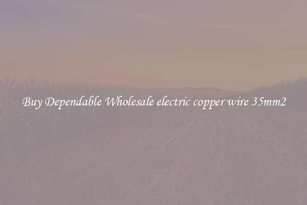 Buy Dependable Wholesale electric copper wire 35mm2
