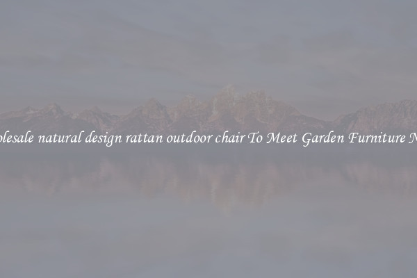 Wholesale natural design rattan outdoor chair To Meet Garden Furniture Needs
