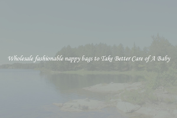 Wholesale fashionable nappy bags to Take Better Care of A Baby